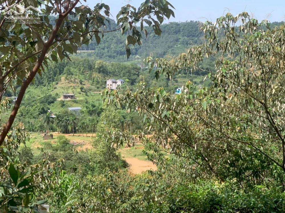 50 000m2 Đất nghỉ dưỡng lưng dựa núi, mặt  nhìn hồ khu sinh thái Hồ Đồng Đò Sóc Sơn siêu đẹp giá rẻ