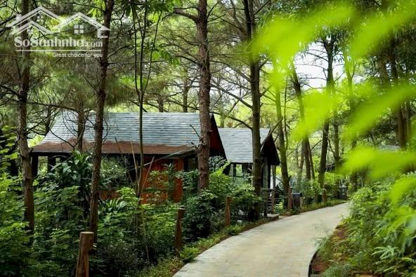 50 000m2 Đất nghỉ dưỡng lưng dựa núi, mặt  nhìn hồ khu sinh thái Hồ Đồng Đò Sóc Sơn siêu đẹp giá rẻ