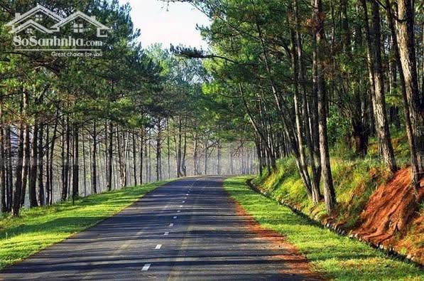 50 000m2 Đất nghỉ dưỡng lưng dựa núi, mặt  nhìn hồ khu sinh thái Hồ Đồng Đò Sóc Sơn siêu đẹp giá rẻ