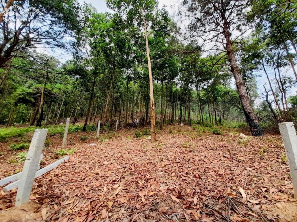 50 000m2 Đất nghỉ dưỡng lưng dựa núi, mặt  nhìn hồ khu sinh thái Hồ Đồng Đò Sóc Sơn siêu đẹp giá rẻ
