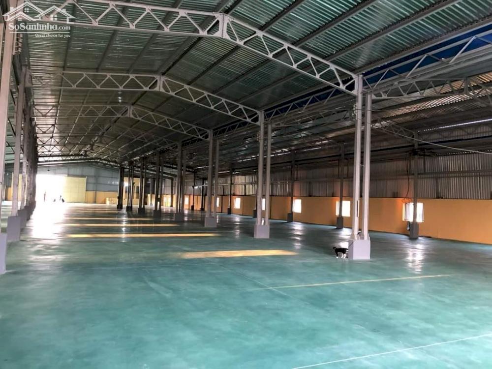 Cho thuê xưởng khu công nghiêp Trảng Bàng, Tỉnh Tây Ninh