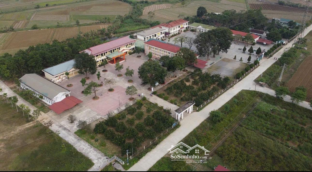 Bán Đất Mặt Đường Quốc Lộ Gần Trung Tâm, Lựa Chọn Lý Tưởng Để Tích Lũy Tài Sản