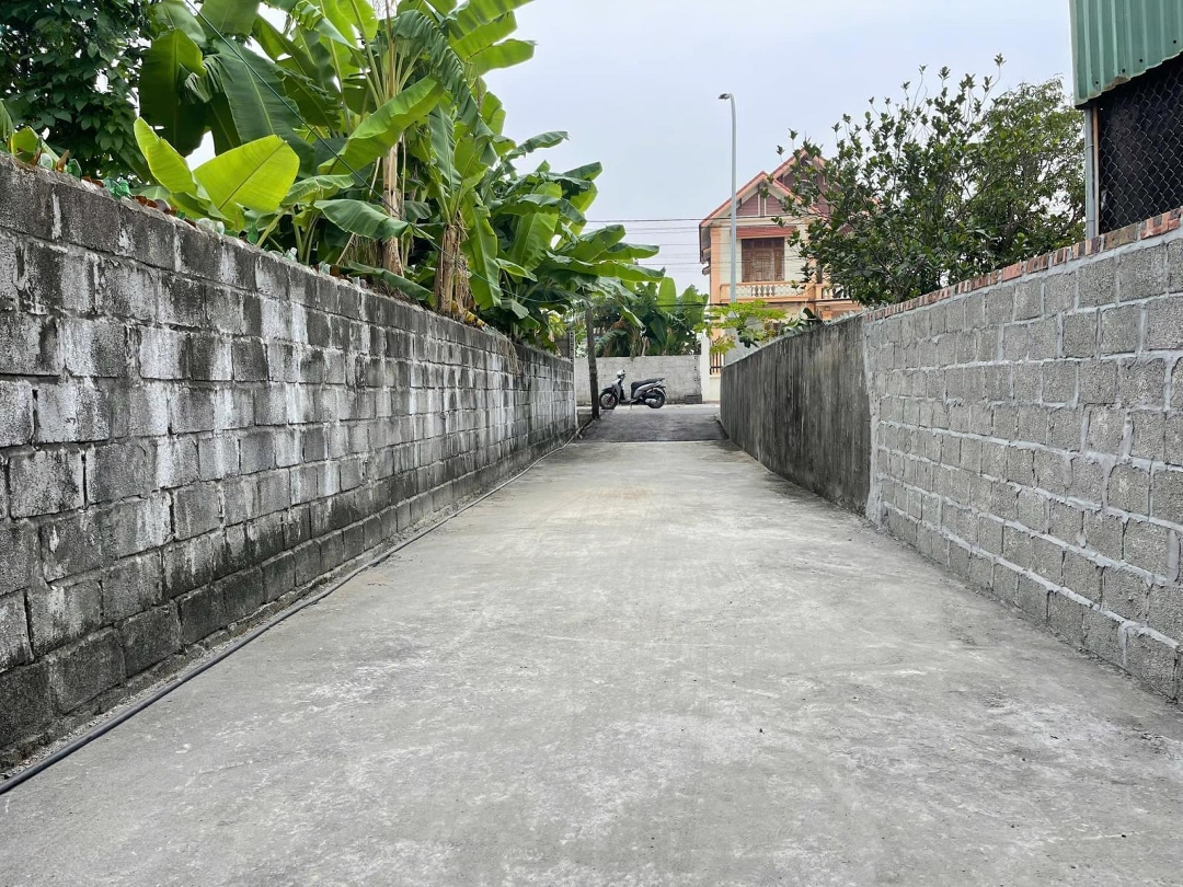 Hàng F0 Mới Tinh Mới Ra Mắt Trên Thị Trường Tại Thấp Linh, Minh Tân, Kiến Thụy