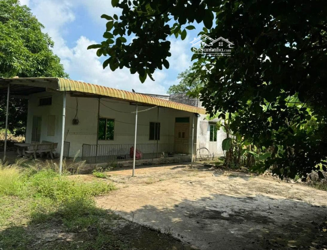 Bán Đất Quốc Lộ 13, 650 Triệu, 1066M2, Bàu Bàng, Bình Dương