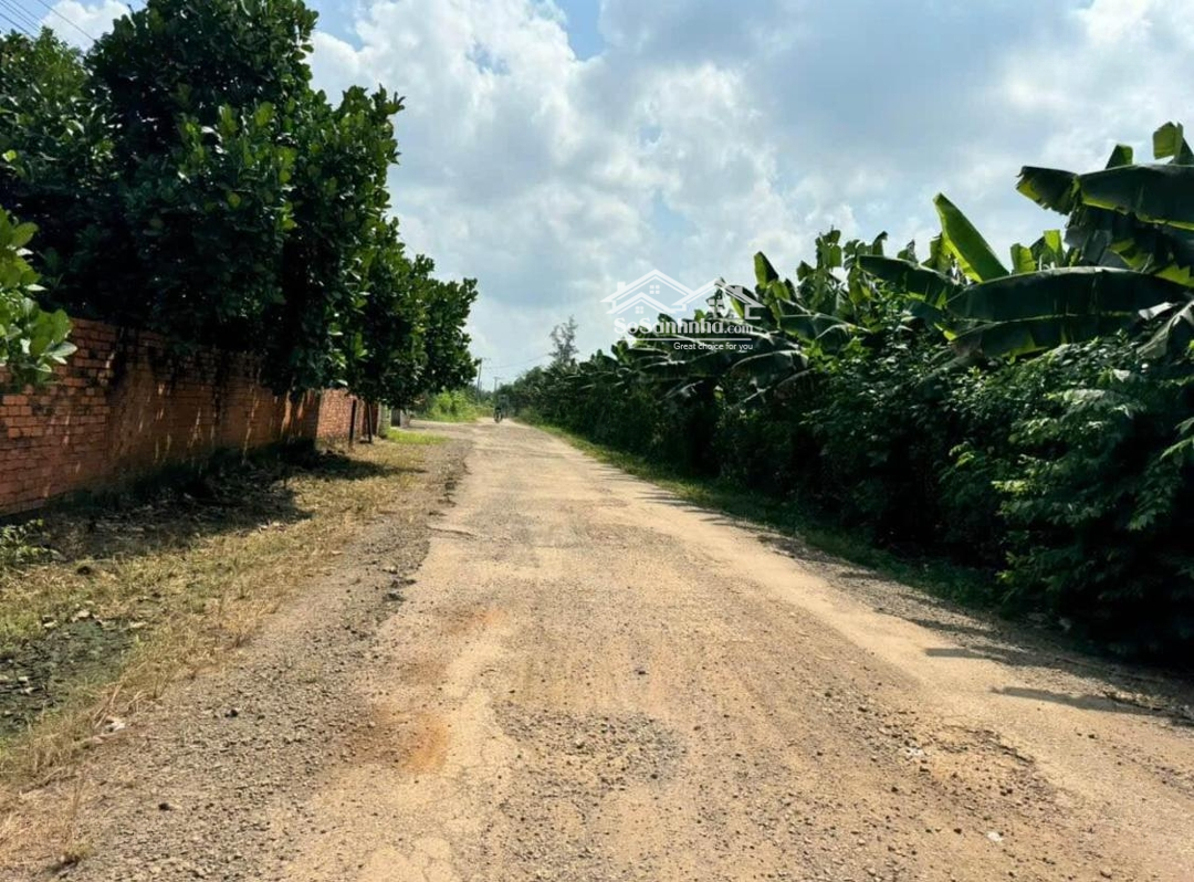 Bán Đất Quốc Lộ 13, 650 Triệu, 1066M2, Bàu Bàng, Bình Dương