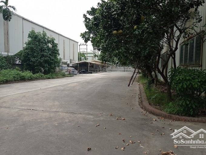 Cho Thuê Kho Giá Shock Nhiều Diện Tích Từ 800 - 1000M2 Trong Kcn Tân Bình, Q. Tân Phú