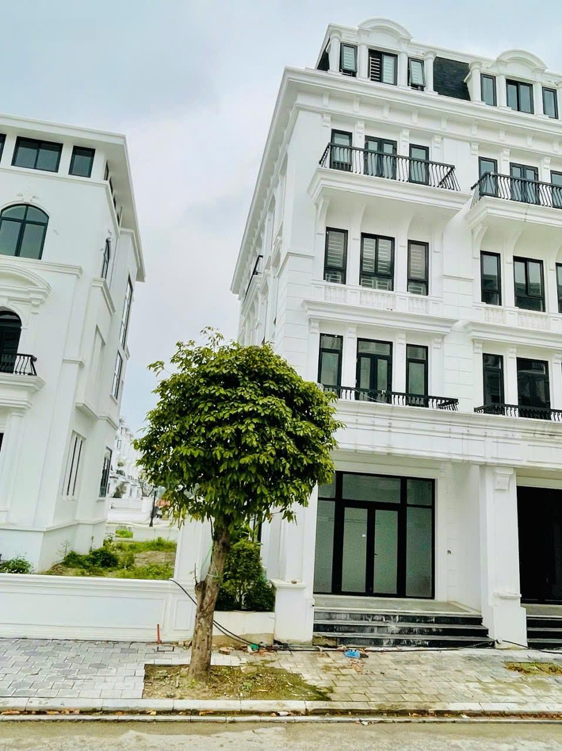 Chính Chủ Cho Thuê Căn Góc 3 Mặt Thoáng Louis City Hoàng Mai, Liên Hệ: 0969326288