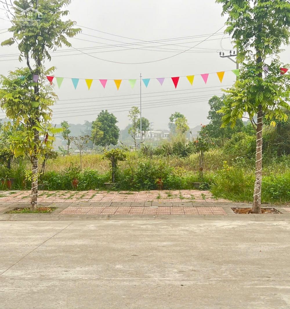 Bán lô dãy D đấu giá Lai Sơn băng đẹp nhất khu, giá 2.xx tỷ