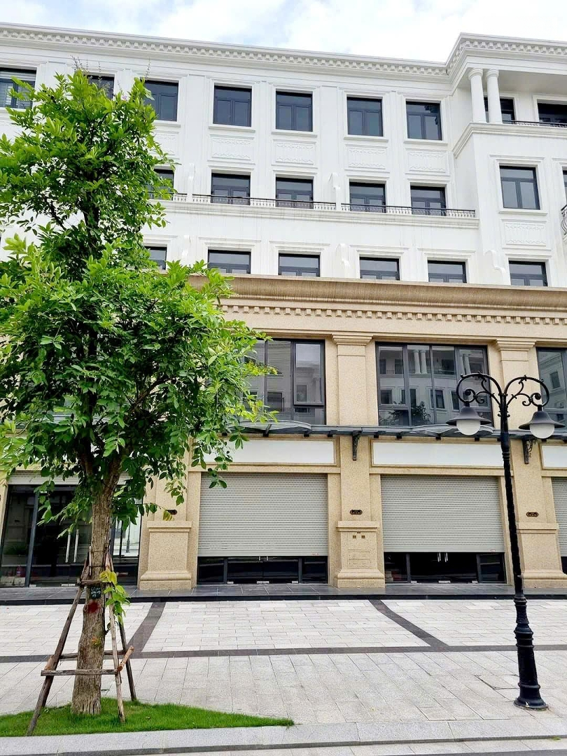 Bán Căn Shophouse Tmdv Hải Âu 16 Vinhomes Ocean Park 1