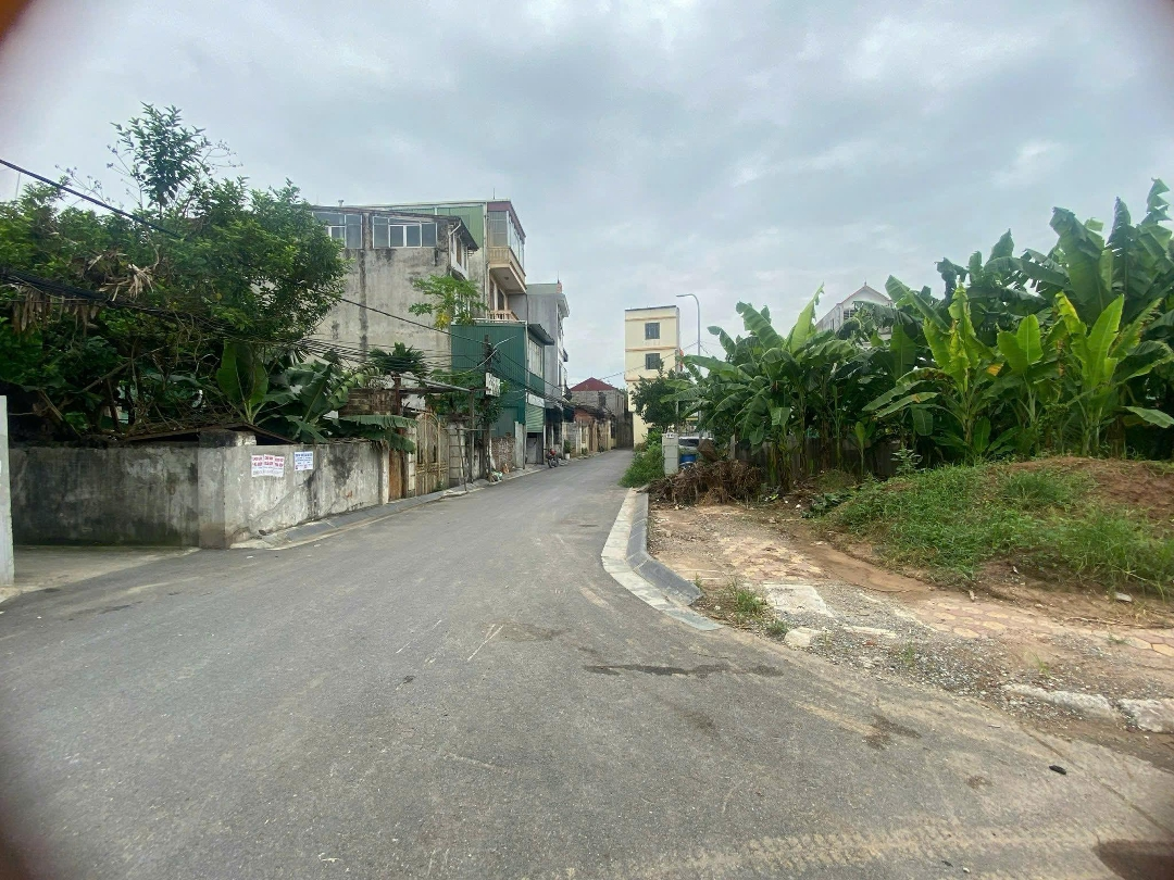 Bán Gấp Đất Đấu Giá Du Nội, Mai Lâm, Cách Vin Cổ Loa 1Km Tiềm Năng Sinh Lời Đầu Tư Cao, Đừng Bỏ Lỡ!