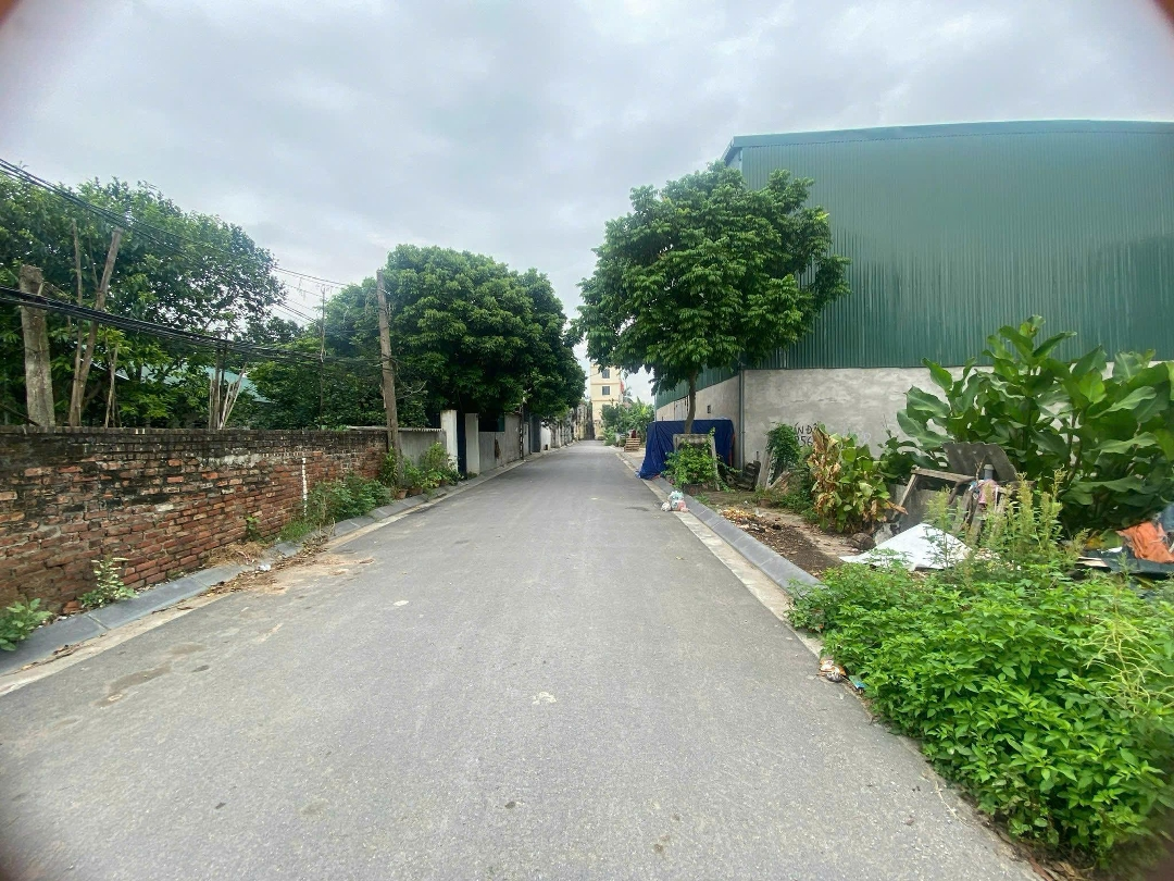 Bán Gấp Đất Đấu Giá Du Nội, Mai Lâm, Cách Vin Cổ Loa 1Km Tiềm Năng Sinh Lời Đầu Tư Cao, Đừng Bỏ Lỡ!