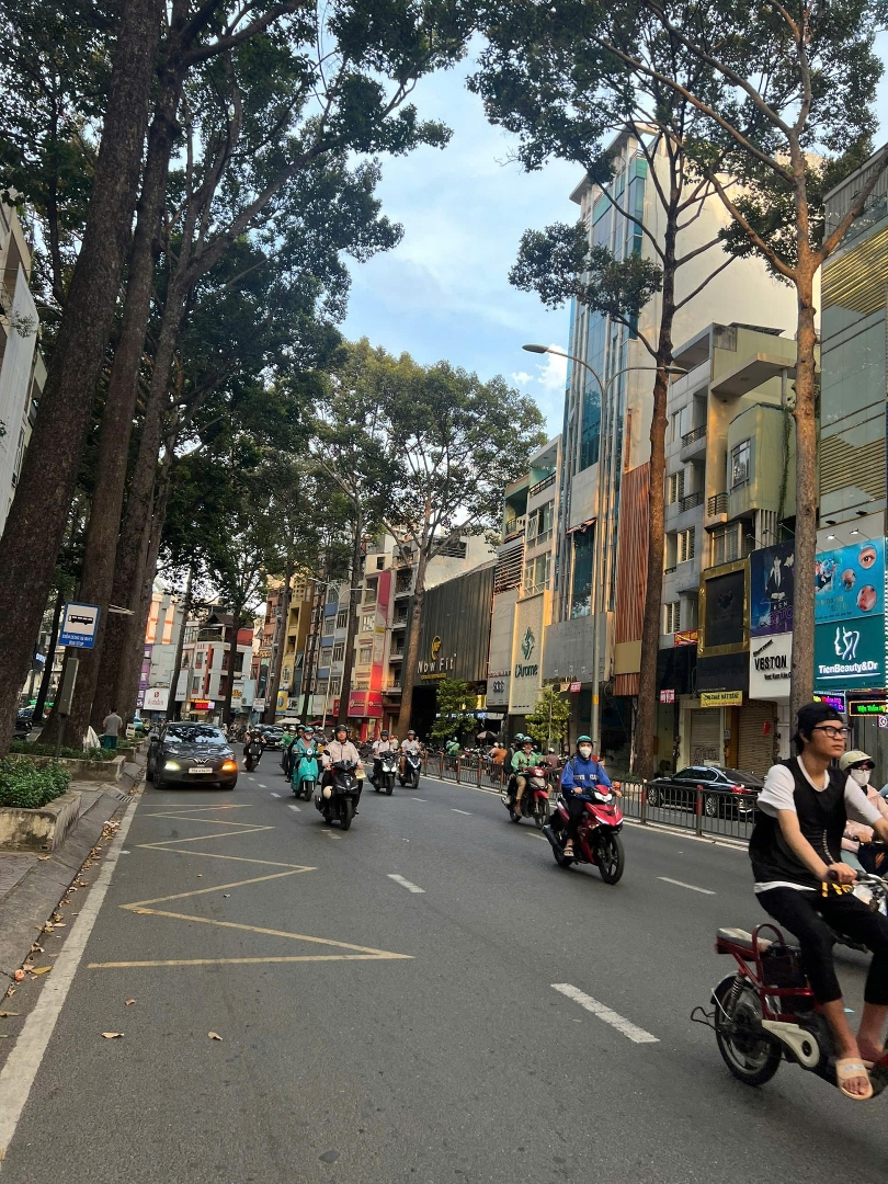Chỉ 249 Triệu/M2 Rẻ Nhất Đường Cống Quỳnh - Nguyễn Cư Trinh, Quận 1. Diện Tích: 240M2(8X30M). Chỉ 59 Tỷ Có Bớt