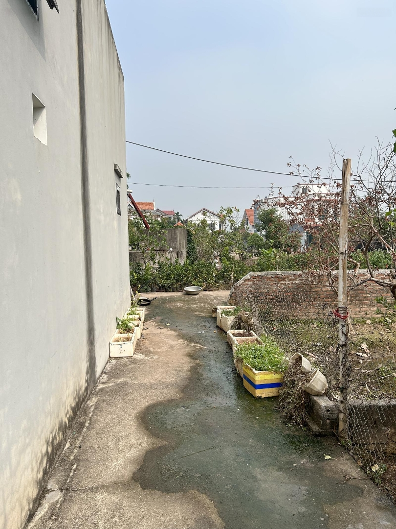 Lô Đất Giá Rẻ Tại Quán Trạch, Liên Nghĩa Gần Vành Đai 4 Và Đường Thanh Niên