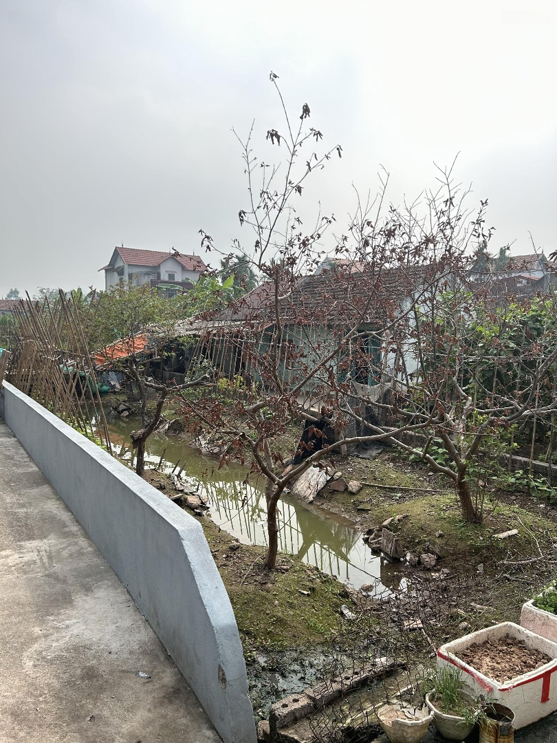 Lô Đất Giá Rẻ Tại Quán Trạch, Liên Nghĩa Gần Vành Đai 4 Và Đường Thanh Niên