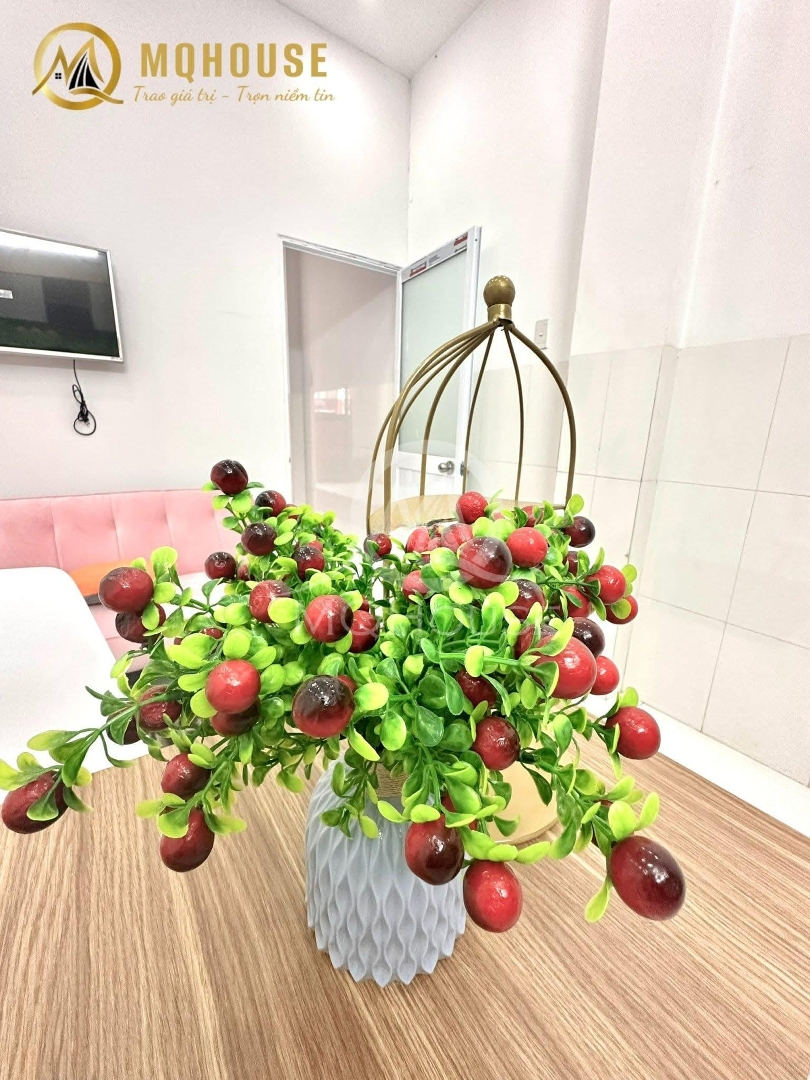 Căn Hộ 2 Phòng Ngủ 1 Phòng Khách _ Full Nt Mới Xây _ Ngay Công Viên Đầm Sen _ Luỹ Bán Bích