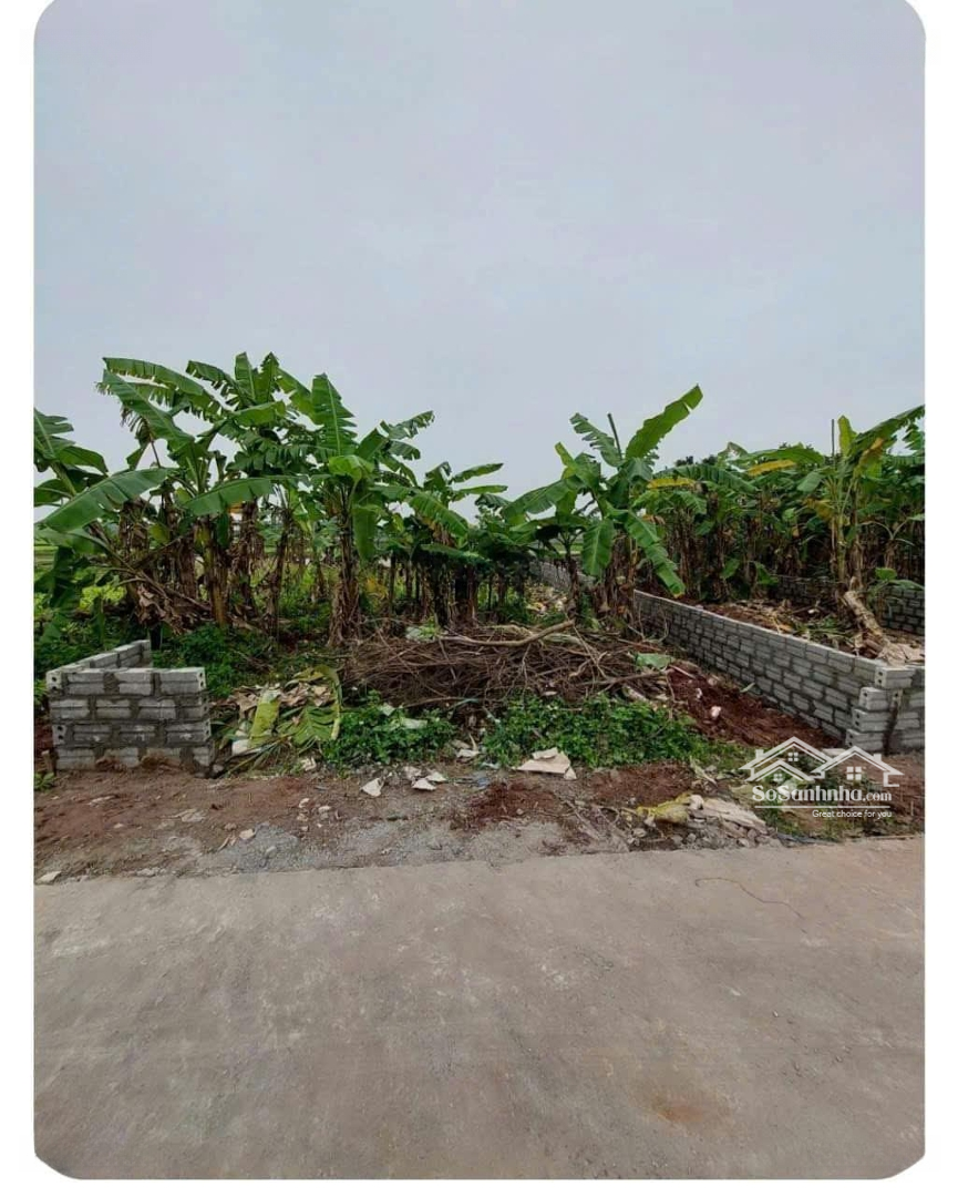 Bán Đất Tại Đường 39B, 3,8 Tỷ, 158M2, Kiến Xương, Thái Bình
