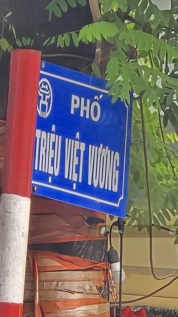 Bán Đất Mặt Phố Số 61 63 Triệu Việt Vương Quận Hai Bà Trưng Thành Phố Hà Nội 318M2 X Mặt Tiền 13M