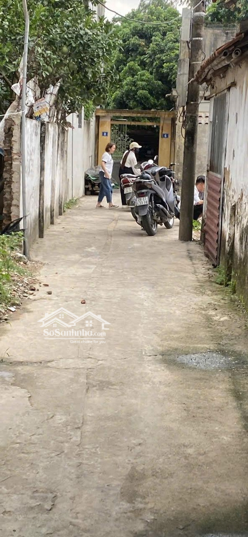 Bán Nhanh Lô Đất Đại Phùng 1, Đan Phượng Vị Trí Đắc Địa, Giá Cực Tốt, Đầu Tư Sinh Lời Cao