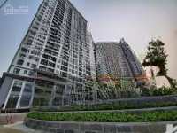Cho Thuê Cc Tại Hateco Apollo, 9 Triệu Vnd, 58M2, 2 Phòng Ngủ 1 Vệ Sinh Đầy Đủ Nội Thất