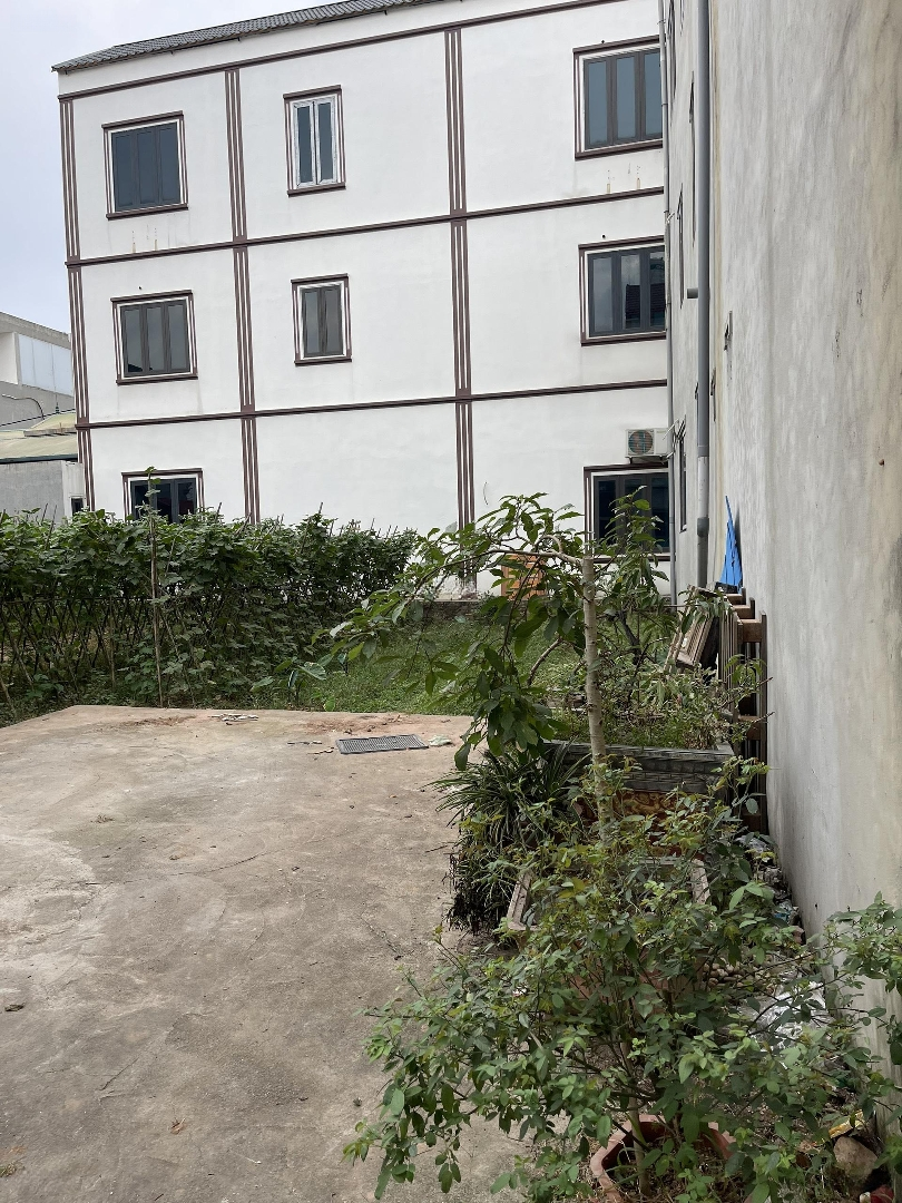 Nhanh Tay Sở Hữu Ngay Lô Đất Vàng Đại Phú, Giá Tốt Đầu Tư Lợi Nhuận Tóp 1 Thượng Mỗ