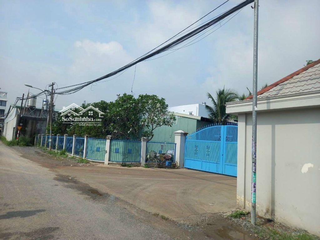 Kho Xưởng Cho Thuê Quận 12, Diện Tích 4,200M2, Đường Xe Container
