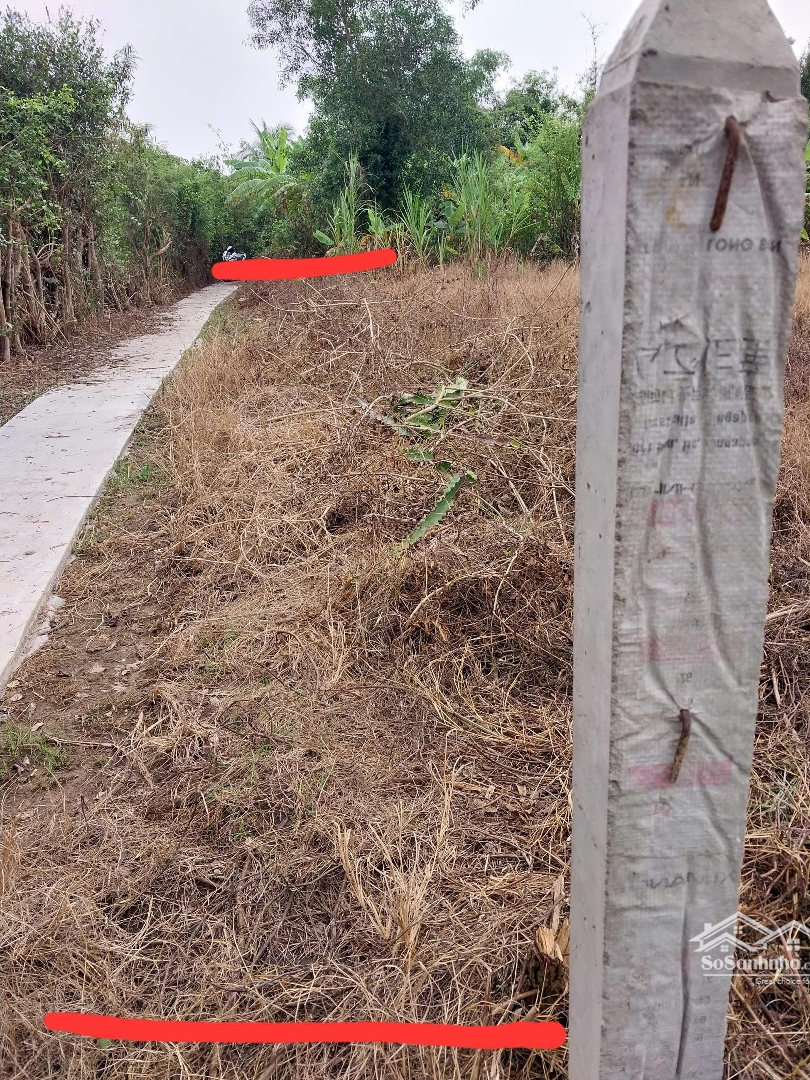 Chính Chủ Cần Bán Gấp Lô Đất 753M2 Ấp Hòa Bình , Xã Bình Nghị - Gò Công Đông