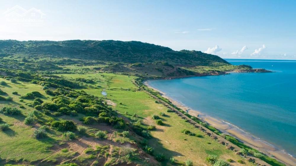 Hàng ngợp giá rẻ, 2.500m2 đất xã Hồng Thái, cạnh Bàu Trắng giá 190 triệu – sổ gia hạn 2075 – SHR