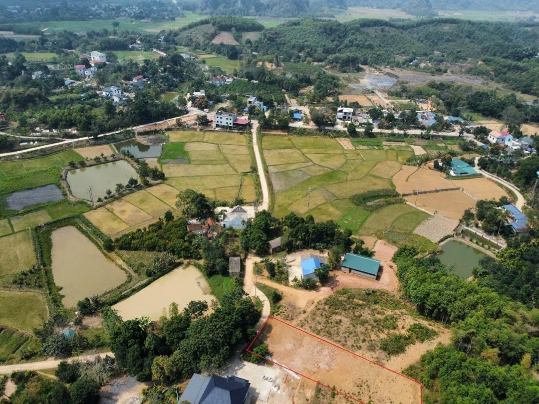 Chính Chủ Cần Bán Thanh Lý Đất Làm Nhà Vườn, Phù Hợp Với Gia Đình Có Vốn Tầm Trung,