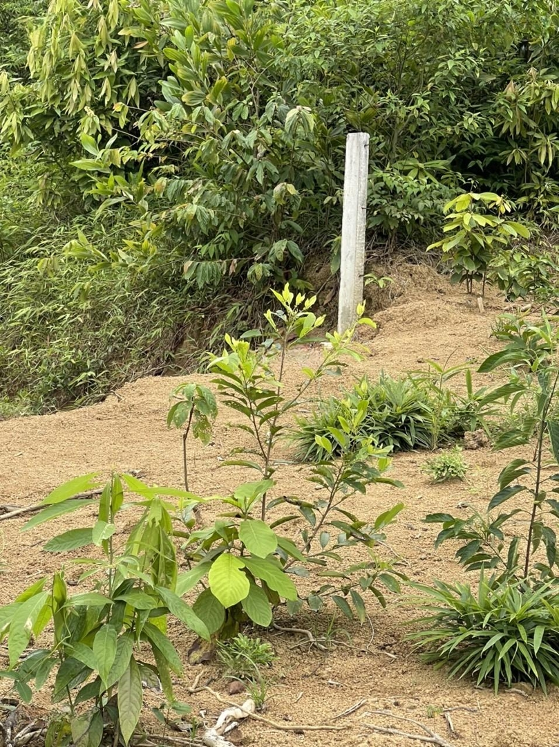 Chính Chủ Cần Bán Thanh Lý Đất Làm Nhà Vườn, Phù Hợp Với Gia Đình Có Vốn Tầm Trung,