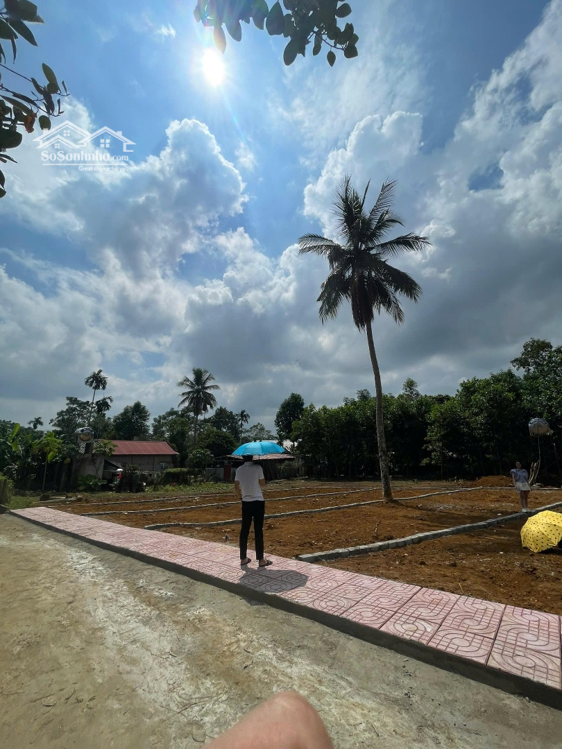 Bán 6 Lô Đất Full Thổ Cư Ở Minh Sơn Ngọc Lặc,Diện Tích122M2Mặt Tiền5M Nở Hậu Giá 240 Triệu/Lô