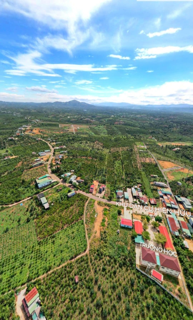 Đón Đầu Sóng Đầu Tư Cho Bds Du Lịch- Thích Rừng Thông Đà Lạt Chọn Ngay Lô Này 0702276188
