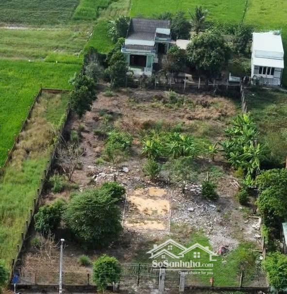 1720M2 Mặt Tiền Đường Trần Văn Nghĩa, Thích Hợp Làm Nhà Vườn, Kho Xưởng, Giá Siêu Rẻ 8 Triệu/M2