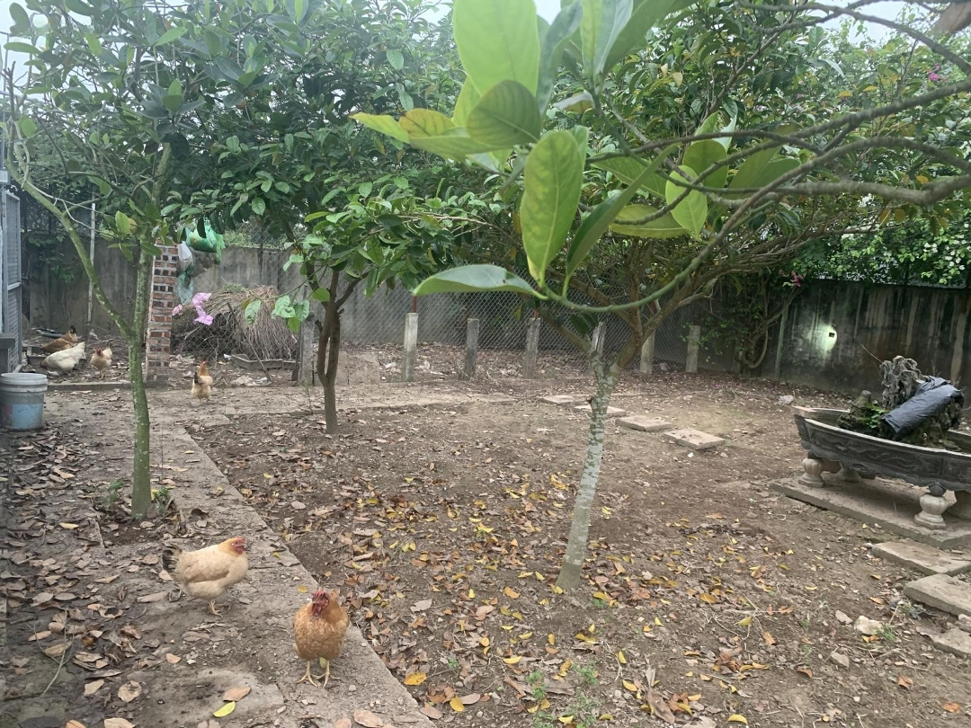 Bán Lô Đất Cực Đẹp Tuyến 2 Đường Phạm Văn Đồng, Dương Kinh, Hải Phòng.diện Tích150M Ngang 7M Giá 40 Triệu/M