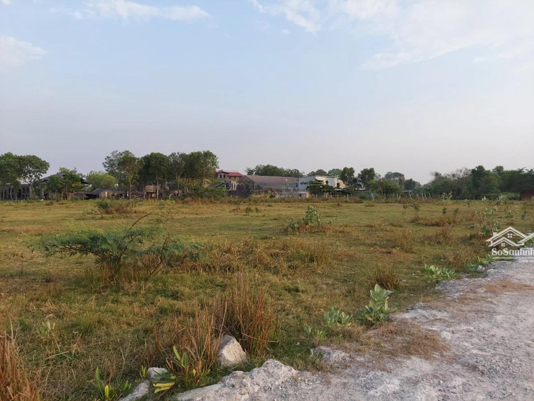 Đất Cây Lâu Năm, Sổ Hồng Riêng, 1,2 Tỷ, 4670M2, Long An Giá Siêu Hời Hot