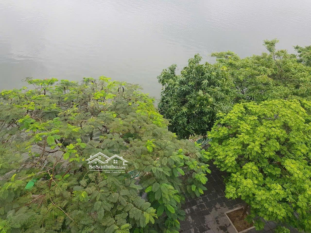 Bán Hàng Cực Phẩm Siêu Hiếm Đất Mặt Phố Đắc Địa Vệ Hồ 65 M2 C4Mặt Tiền6 M 65 Tỷ Tây Hồ