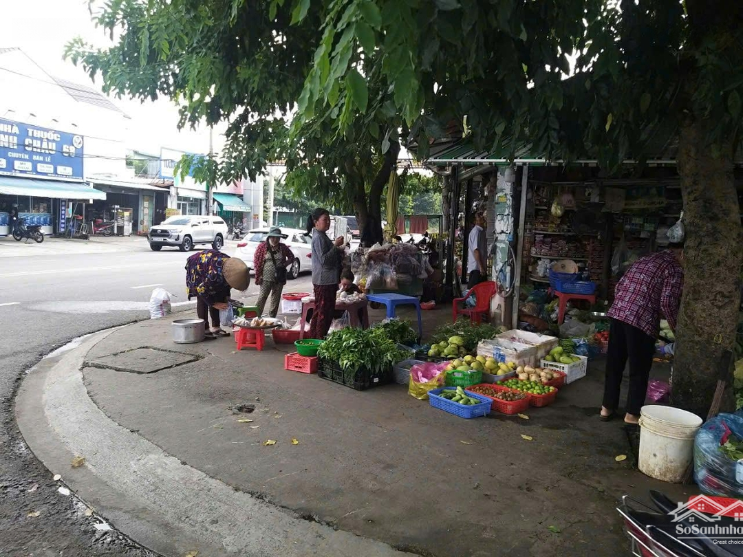 Cần Cho Thuê Mặt Bằng Kinh Doanh. Lô Góc D8 - N9 Kdc Phú Mỹ, P. Phú Tân, Tp Mới Bình Dương