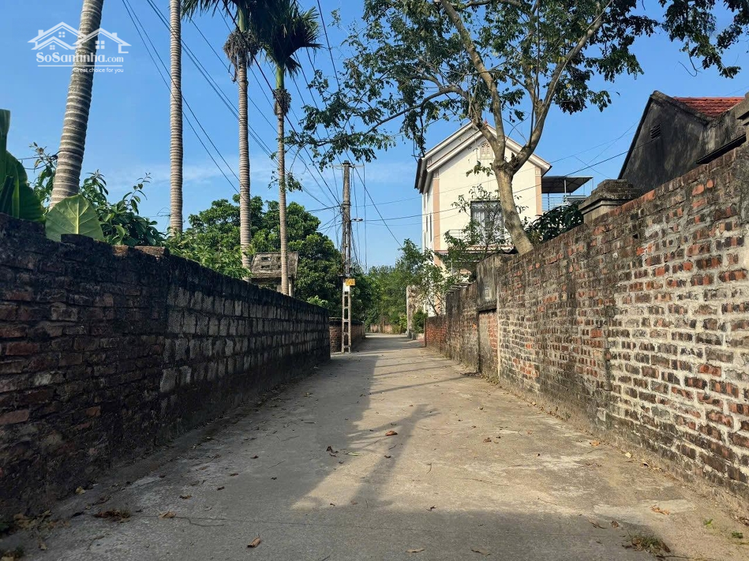 Chỉ Nhỉnh 2 Tỷ Bạn Có Cơ Hội Đầu Tư Đón Đầu Dự Án Đường Thanh Niên Tại Ấp Kim Ngưu - Tân Tiến