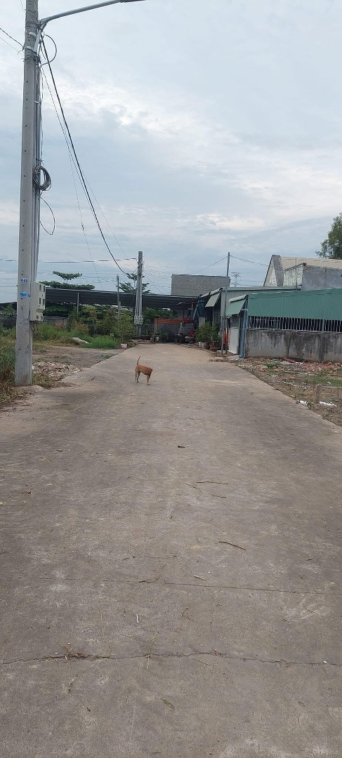 Hàng Mới Ra 5 Lô Đất Giá F0 Gần Cây Xăng Thạnh Phú