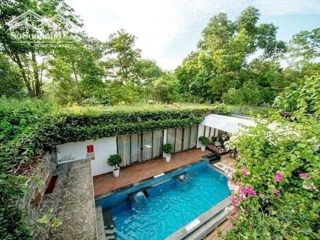 Bán Biệt Thự FLAMINGO ĐẠI LẢI 323m2 vị trí đẹp bể bơi mặt tiền 14m 9.5 tỷ
