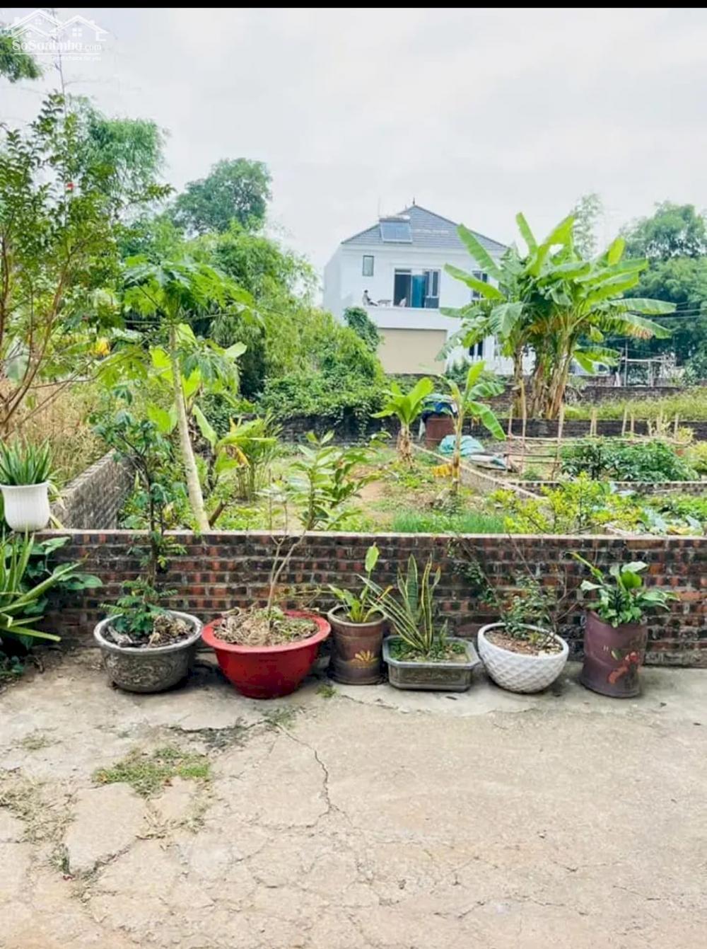 Dược Thượng , Tiên Dược , Sóc Sơn, Hà Nội Diện tích: 42m, fun thổ cư . MT: 4,5 m. Đường bê tông 5m.
