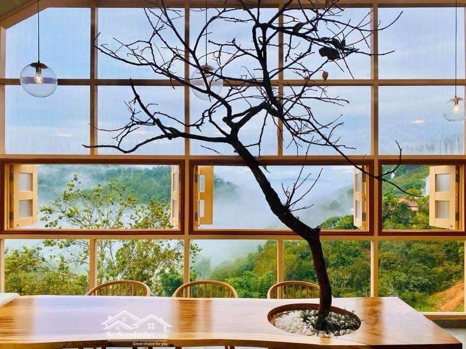 Mô Hình Kinh Doanh View Thông Xanh Mặt Tiền Hoàng Hoa Thám, Cách Hồ Xuân Hương 3Km