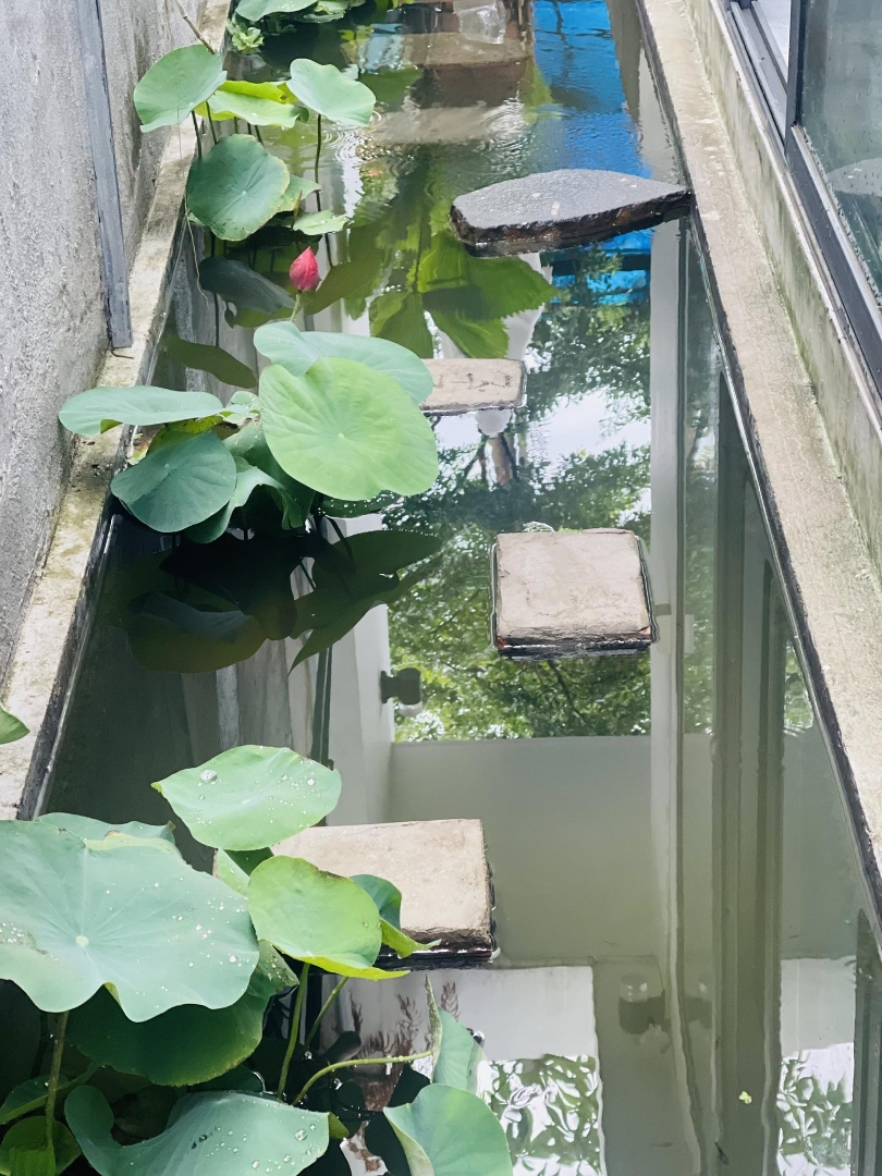 Bán Nhà Sân Vườn 215M2, Sổ Riêng Full Thổ Cư
