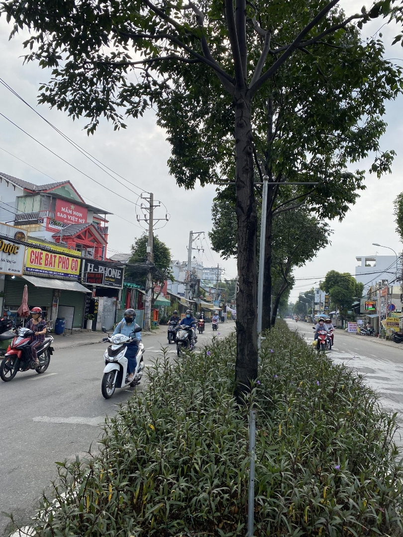 Nhà 80M2 (4X20M) Hẻm Xe Hơi Thông, Gần Cđ Công Thương, Chợ Hoa Cau, Phước Long B, Chỉ 5 Tỷ 9 Tl