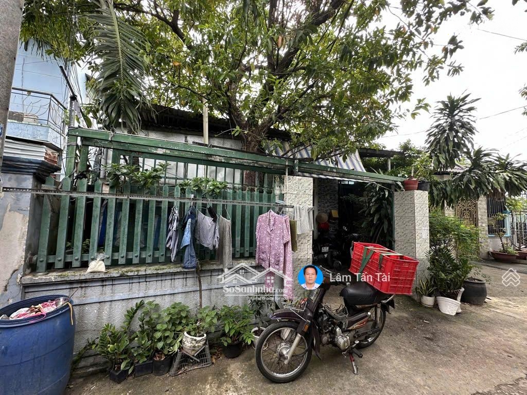 (Tin Thật) Đẻ Trứng Vàng, Tây Thạnh, 2016M2, Nở Hậu To, 117 Tỷ Nhỉnh