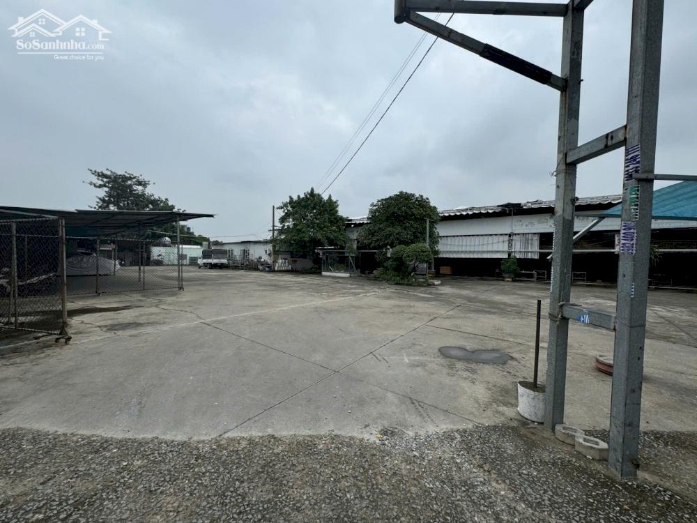 BÁN ĐẤT MẶT TIỀN 8000M2 QUÁCH ĐIÊU VĨNH LỘC BÌNH CHÁNH GIÁ 87 TỶ