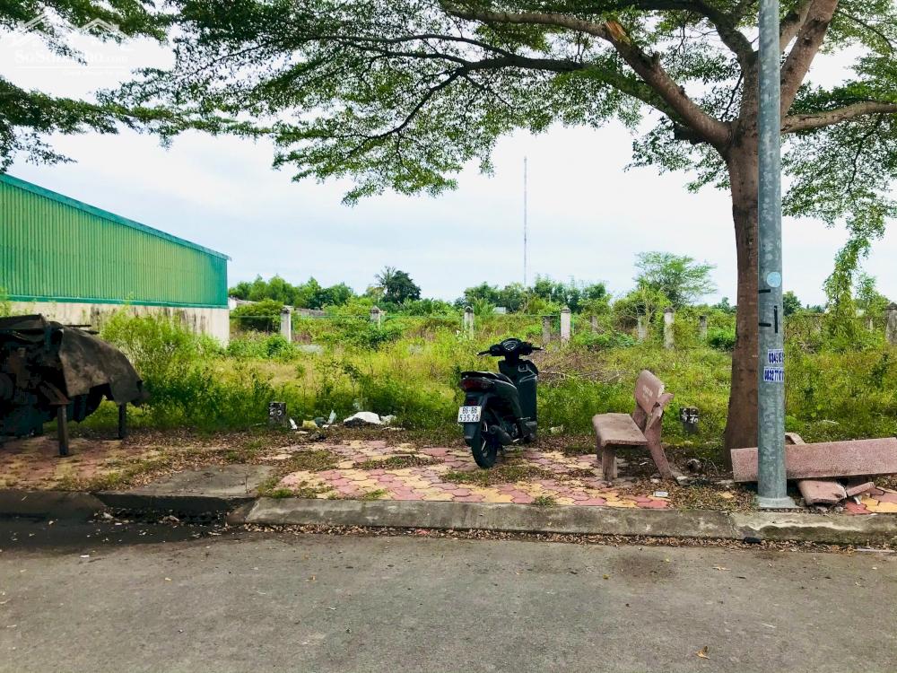bán đất khu dân cư Dâu Tằm, Xã Tân Phước, THị Xã LaGi, Bình Thuận\. Giá Rẻ