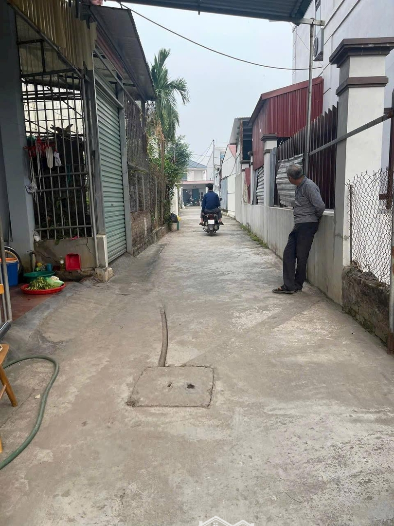 Ra Mắt Siêu Phẩm 114M Vĩnh Tuy - Liên Nghĩa - Văn Giang - Hưng Yên