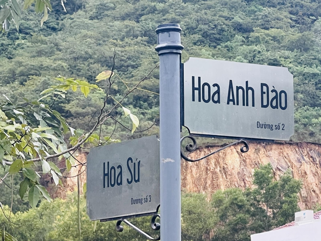Biệt Thự Giáng Hương Đường Hoa Anh Đào Giá 15 Triệu/M2Diện Tích280M2 Ngang 11.8M . Total 4.2 Tỷ