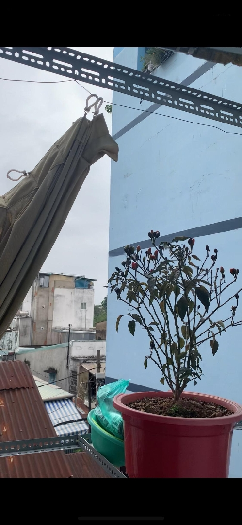 Bán Nhà Q4 Bến Vân Đồn 1 Trệt 1 Lửng 1 Lầu Diện Tích 24,7 . Nhà 2 Ban Công Có Giếng Trời