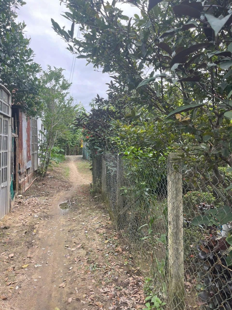 Bán Lô Đất Diên Lạc- Diên Khánh- Khánh Hoà. Vị Trí Gần Trung Tâm Hành Chính Mới Diên Khánh. Gần
